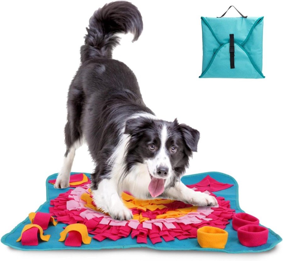 Border collie olfateando la alfombra Nobleza de tiras de colores, con la alfombra plegada al lado