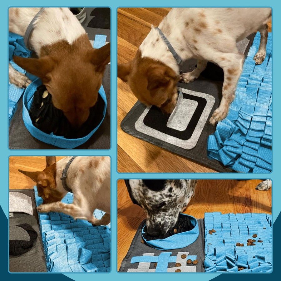 Ver imagen 6 de 6: Cuatro perros distintos buscando comida en diferentes zonas de la alfombra