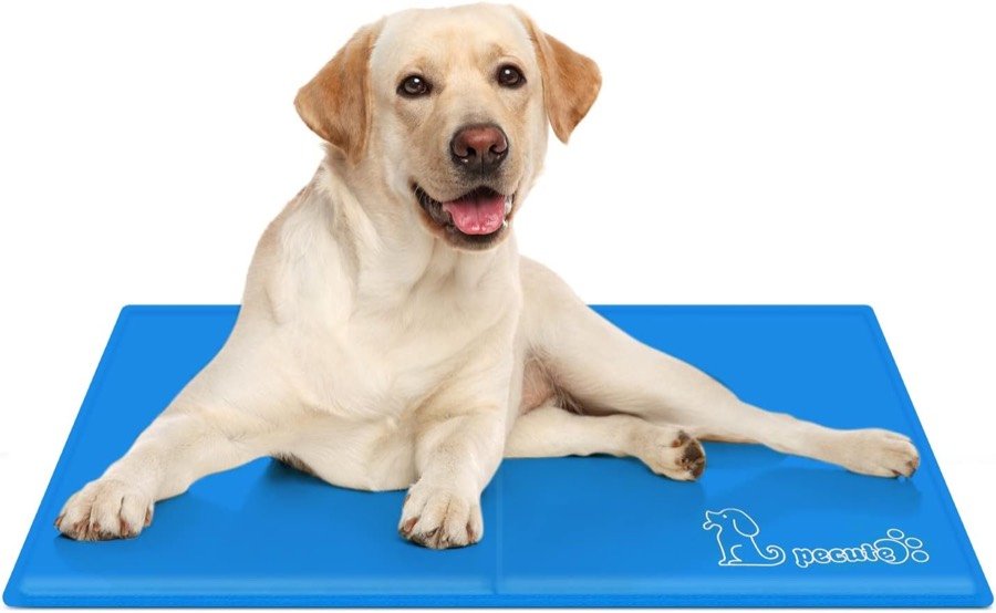 Labrador tumbado sobre la alfombrilla refrigerante Pecute azul con el logotipo de la marca en una esquina