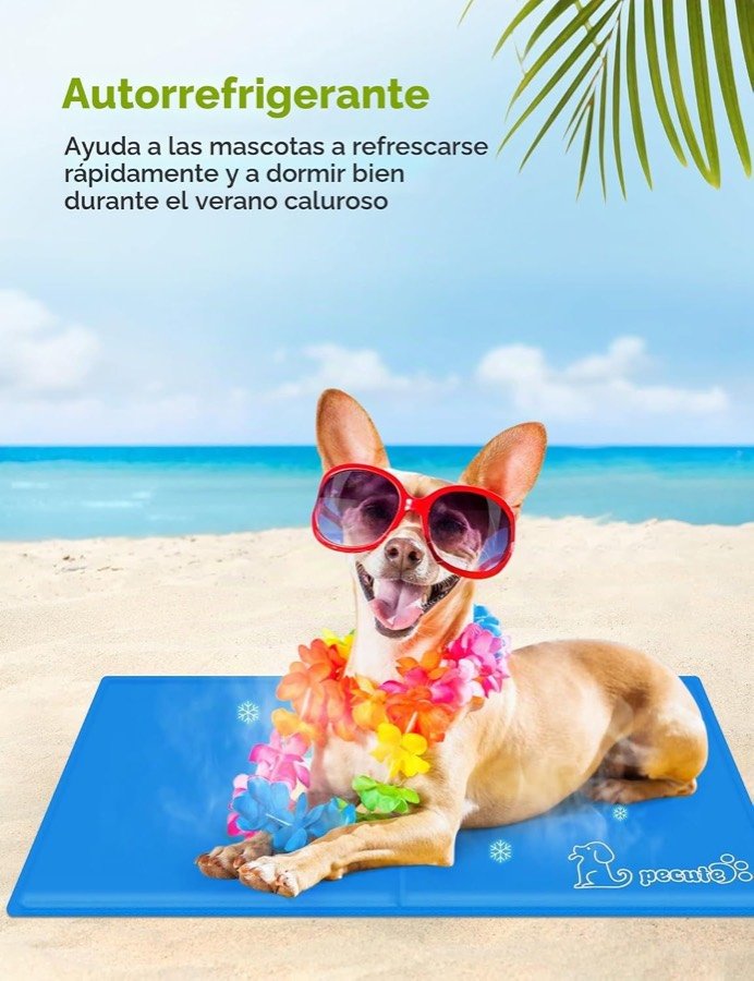 Ver imagen 6 de 6: Perro con gafas de sol sobre la alfombrilla Pecute en una imagen promocional de playa