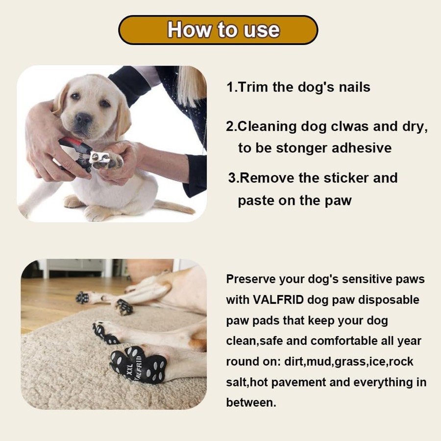 Ver imagen 3 de 6: Instrucciones de uso en tres pasos: recortar las uñas, limpiar y secar la pata y pegar la almohadilla, con un labrador sentado