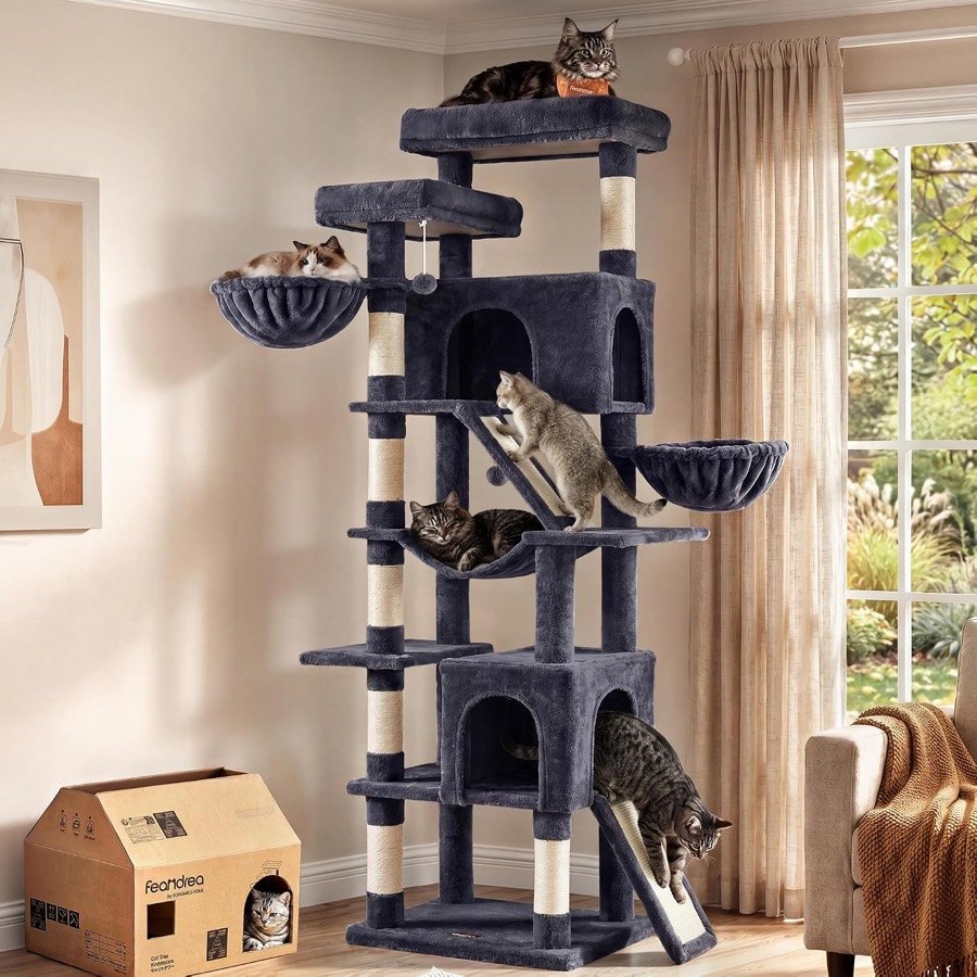 Árbol rascador Feandrea gris oscuro de 206 cm con plataformas, casetas, hamacas y varios gatos, junto a su caja de cartón