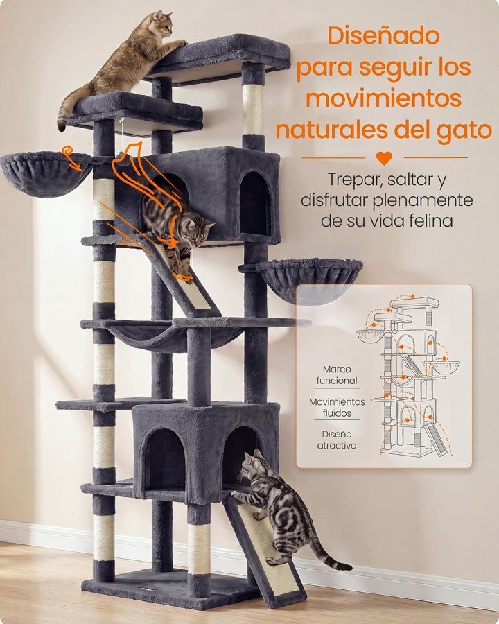 Ver imagen 5 de 6: Recorrido de un gato trepando por el árbol Feandrea