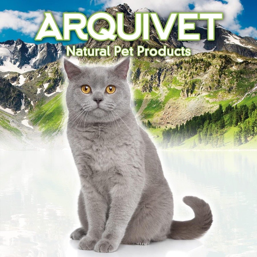 Ver imagen 6 de 6: Gato gris del envase de Arquivet sobre un paisaje de montaña y lago