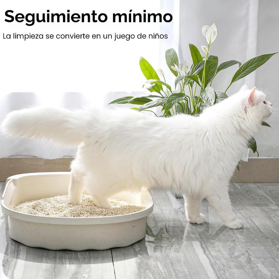 Ver imagen 6 de 6: Gato blanco saliendo de un arenero con arena FUKUMARU en un salón con plantas
