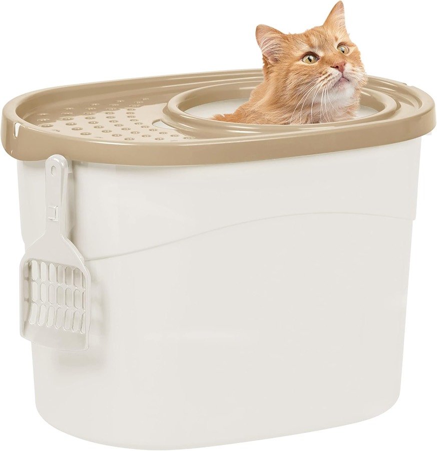 Ver imagen 5 de 5: Arenero Iris Ohyama en blanco con la tapa beige y un gato naranja asomado