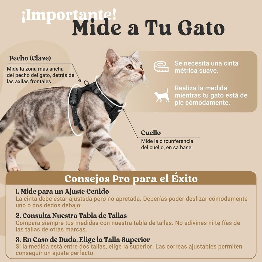 Ver imagen 2 de 6: Infografía de cómo medir al gato: contorno de pecho detrás de las axilas y circunferencia del cuello en su base, con cinta métrica suave