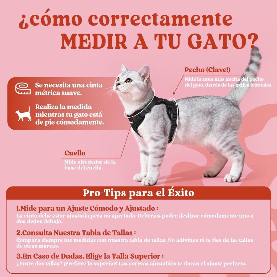 Ver imagen 2 de 6: Infografía rosa de cómo medir al gato: pecho por la parte más ancha detrás de las axilas y cuello en su base