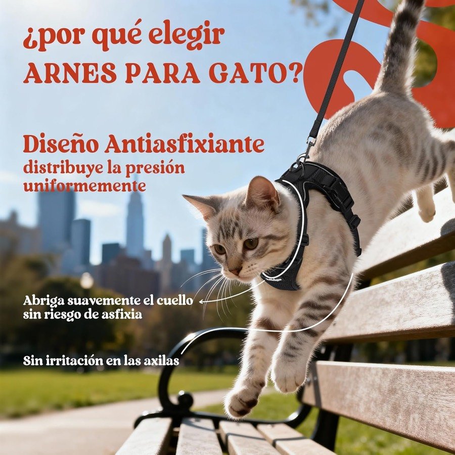 Ver imagen 3 de 6: Gato atigrado saltando de un banco del parque con el arnés rabbitgoo negro de malla puesto