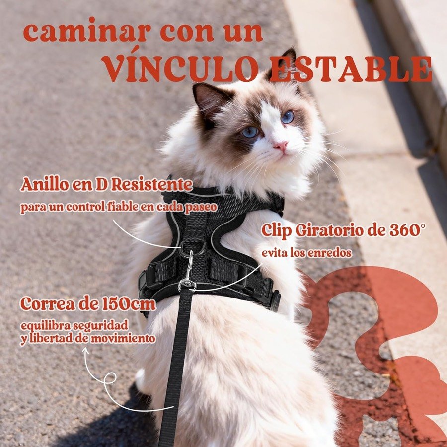 Ver imagen 5 de 6: Gato ragdoll con el arnés negro de malla, con la anilla en D y el mosquetón giratorio de la correa de 150 cm