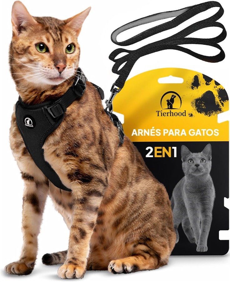 Gato bengalí sentado con el arnés Tierhood negro de neopreno junto al envase «Arnés para gatos 2 en 1» y la correa