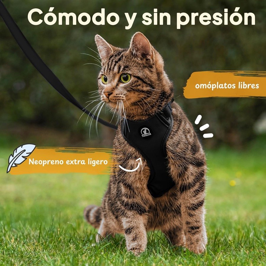 Ver imagen 2 de 6: Gato atigrado en la hierba con el arnés Tierhood, señalando el neopreno extraligero y los omóplatos libres