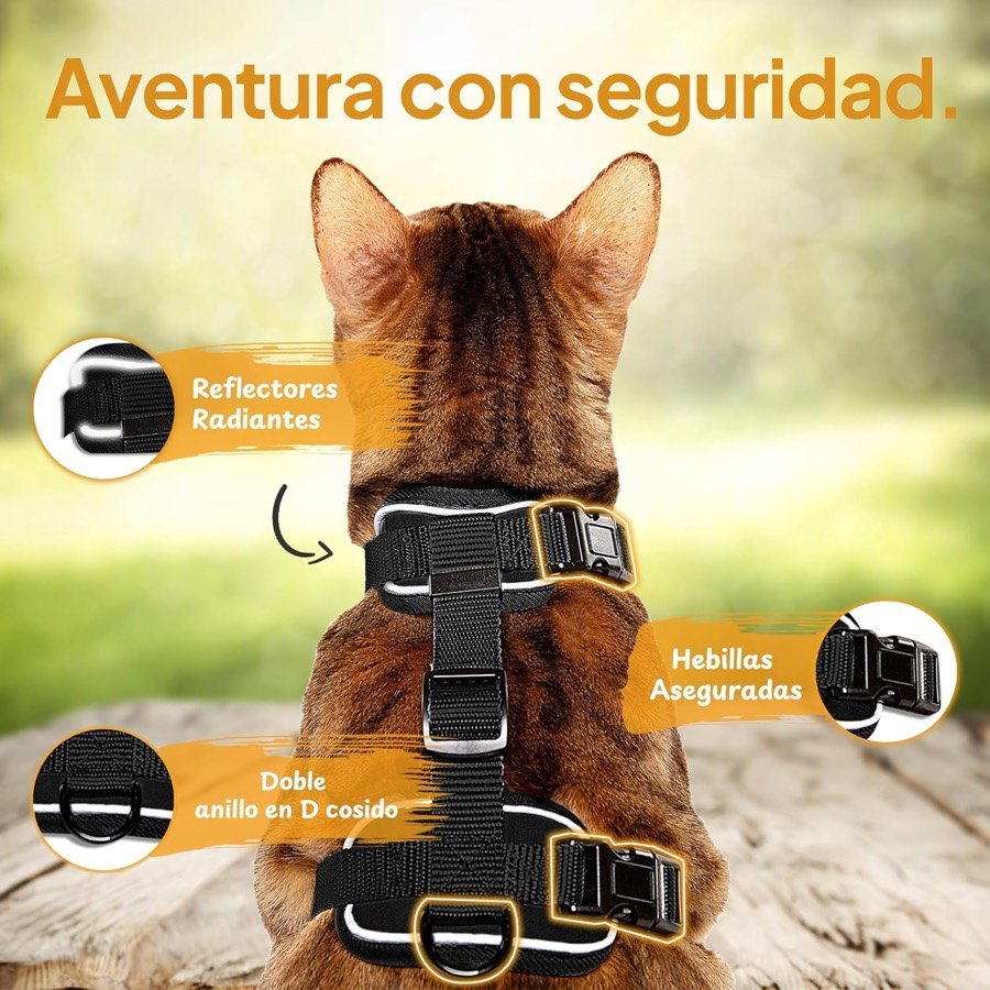 Ver imagen 4 de 6: Gato de espaldas con el arnés Tierhood, con los reflectantes, las hebillas y la doble anilla en D cosida señalados