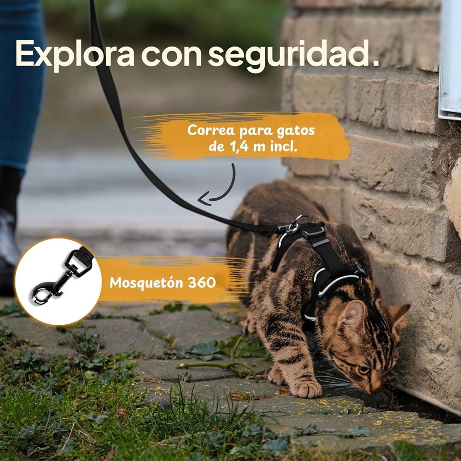 Ver imagen 6 de 6: Gato bengalí explorando junto a una pared con el arnés Tierhood y su correa de 1,4 m con mosquetón giratorio