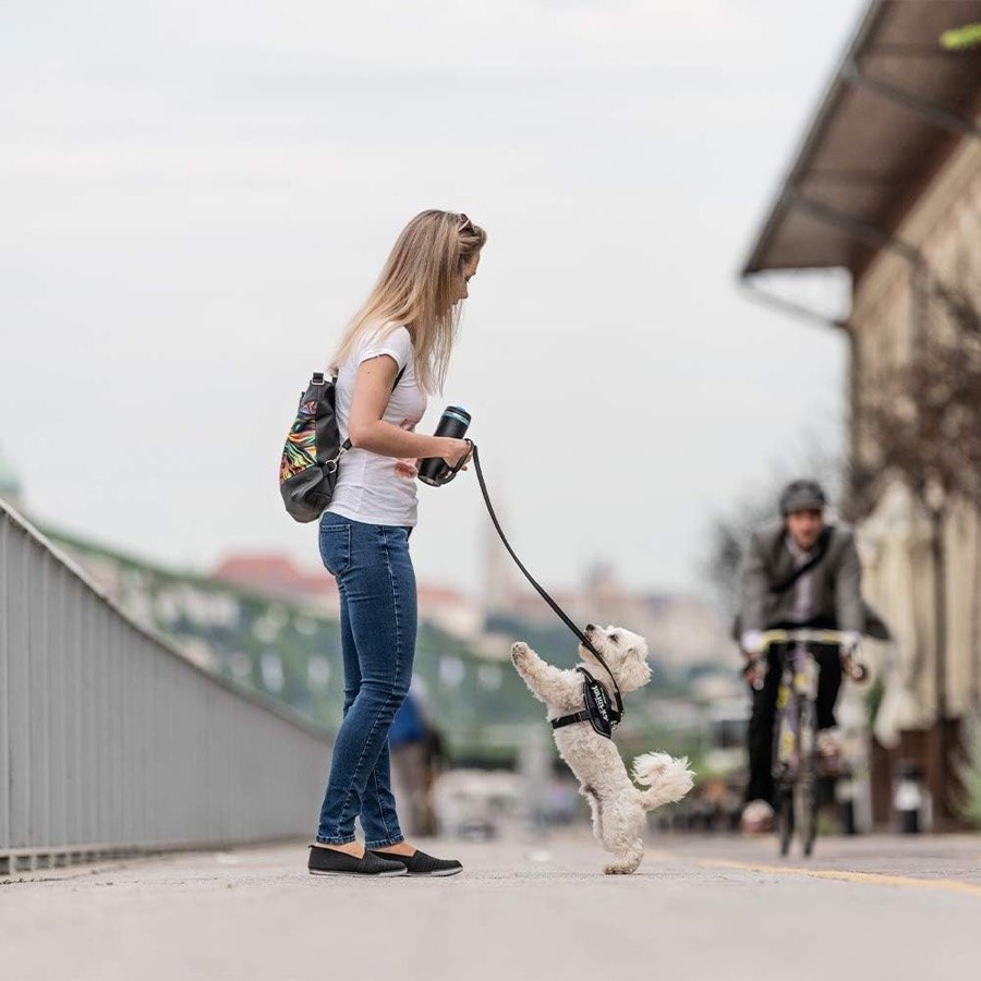 Ver imagen 2 de 6: Mujer paseando por un puente con un perro pequeño blanco que lleva el arnés Julius-K9