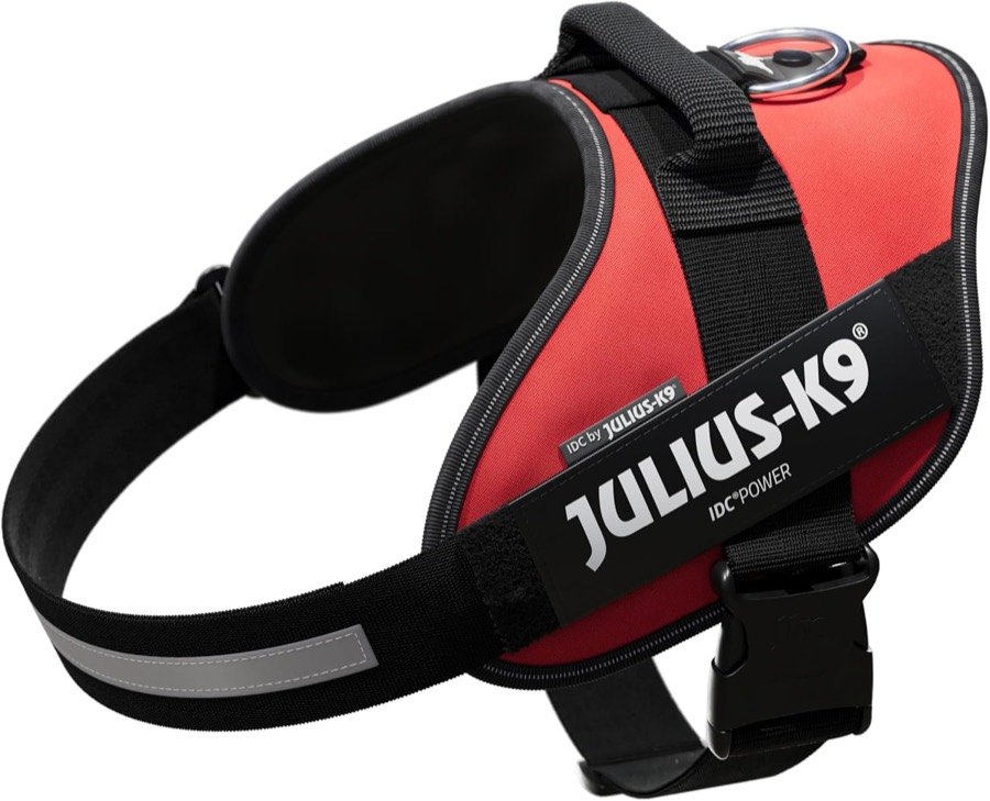 Arnés Julius-K9 IDC Power rojo en tres cuartos, con el asa dorsal y la banda reflectante del pecho