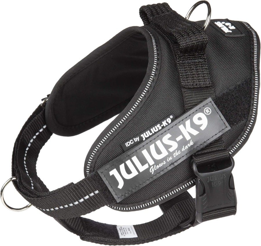 Ver imagen 2 de 6: Vista superior del arnés Julius-K9 con el asa dorsal, la anilla metálica y los ribetes reflectantes
