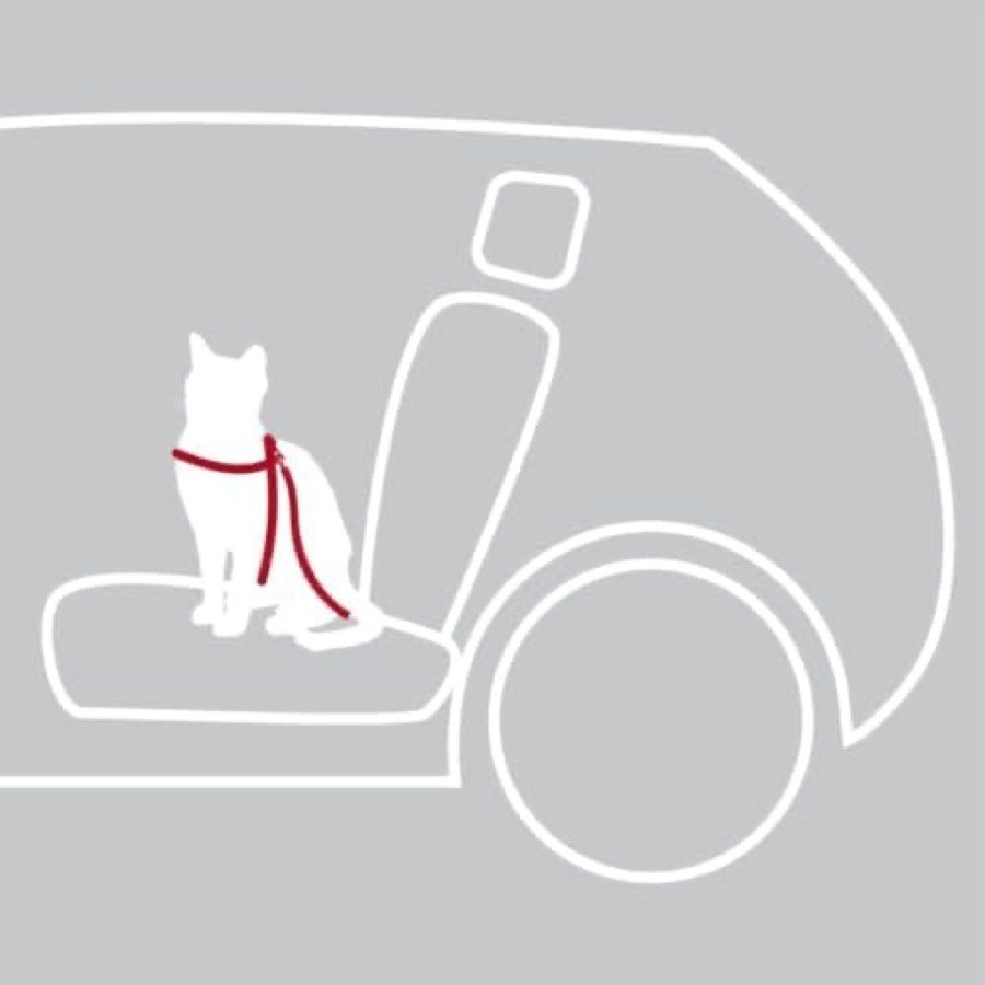 Ver imagen 6 de 6: Ilustración de un gato con el arnés Trixie sujeto al asiento de un coche mediante la correa corta