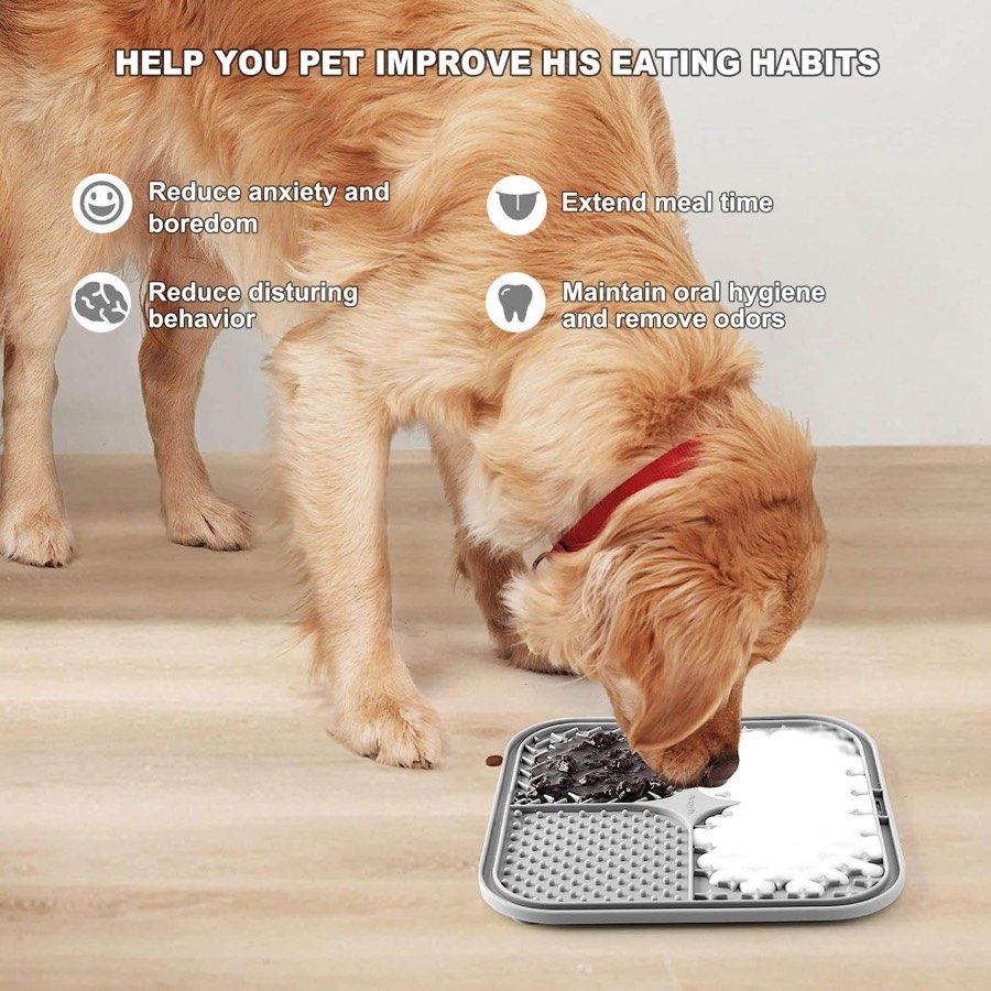 Ver imagen 6 de 6: Golden retriever comiendo de la alfombrilla colocada en el suelo