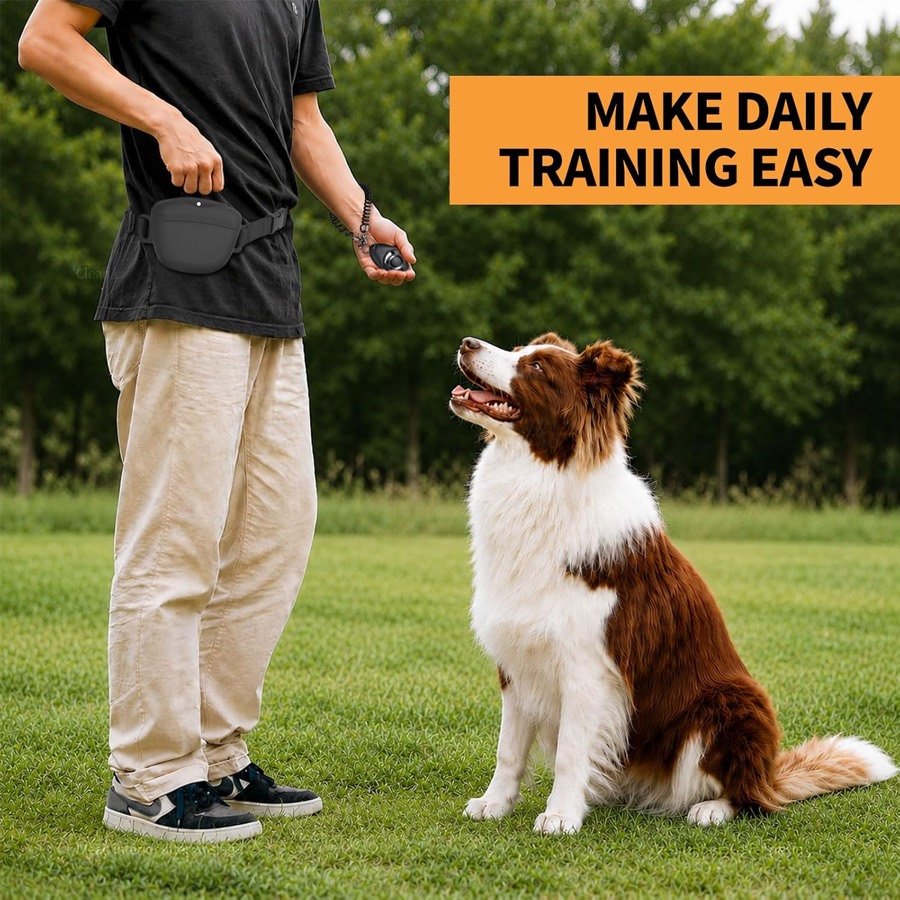 Ver imagen 6 de 6: Hombre entrenando a un border collie sentado en la hierba, con la bolsa AOKLANT a la cintura y el clicker en la mano