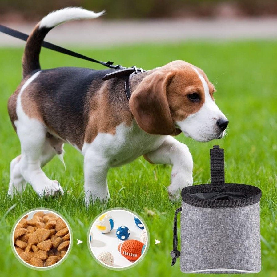 Ver imagen 6 de 6: Beagle olfateando la hierba con la bolsa Yoosso al lado y tres iconos de pienso, juguetes y accesorios