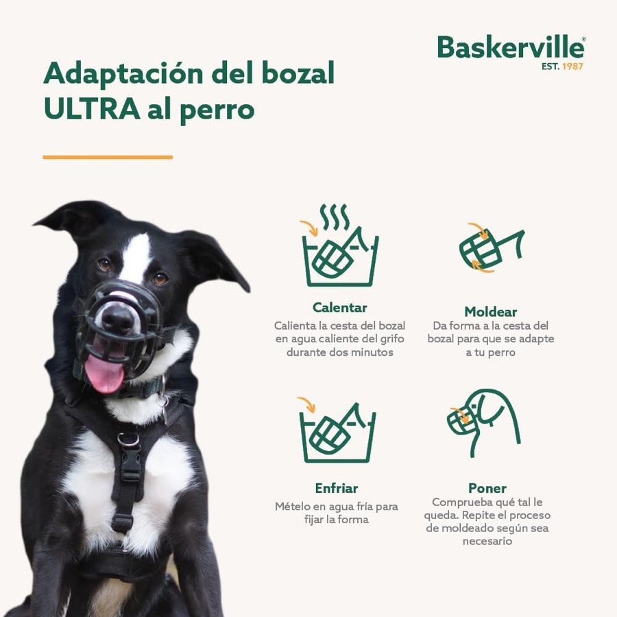 Ver imagen 4 de 6: Instrucciones de moldeado del bozal Ultra en cuatro pasos: calentar en agua caliente, moldear, enfriar en agua fría y poner