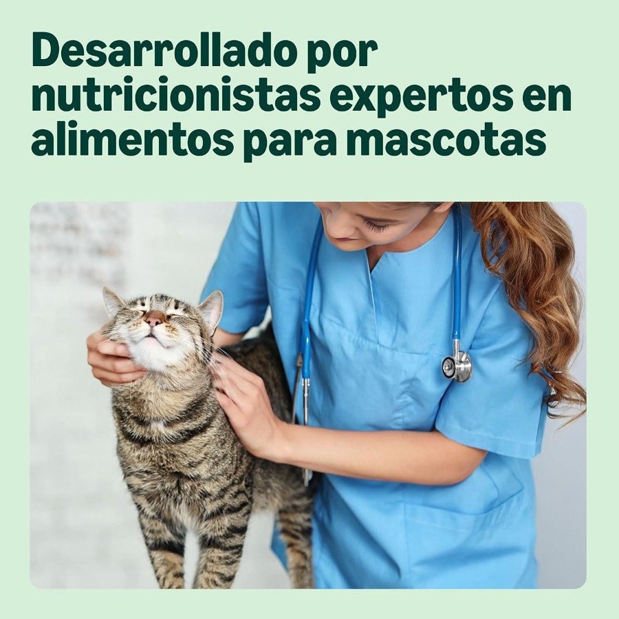 Ver imagen 4 de 6: Una veterinaria sostiene a un gato atigrado bajo el reclamo de fórmula desarrollada por nutricionistas expertos
