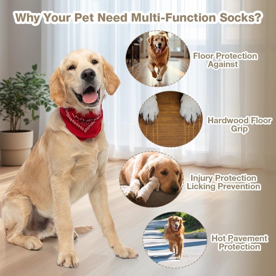 Ver imagen 5 de 6: Golden retriever sentado con un collar rojo y cuatro usos señalados: protección del suelo, agarre en parqué, protección de heridas y asfalto caliente