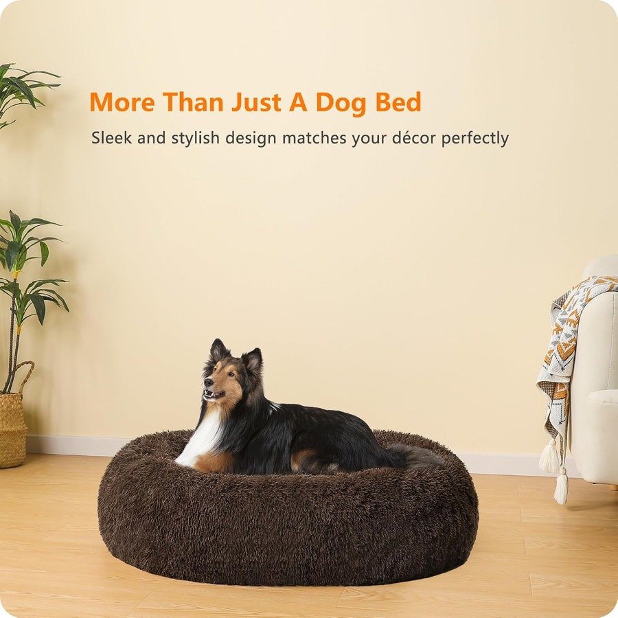 Ver imagen 2 de 6: La cama HMTOPE marrón en un salón claro con un pastor de Shetland encima, con el rótulo «More than just a dog bed»