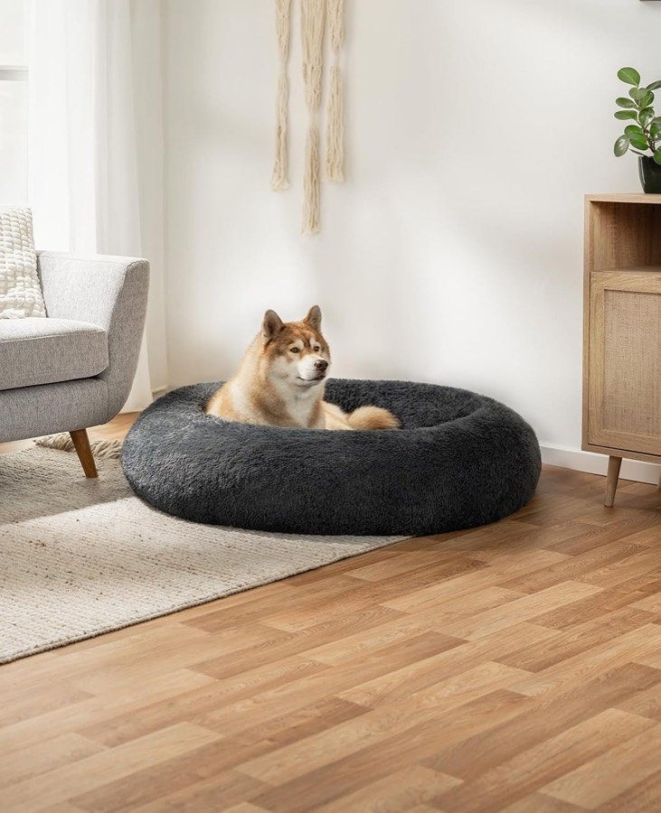Ver imagen 2 de 5: La cama donut lionto de 120 cm en un salón con suelo de madera, con un perro nórdico tumbado dentro