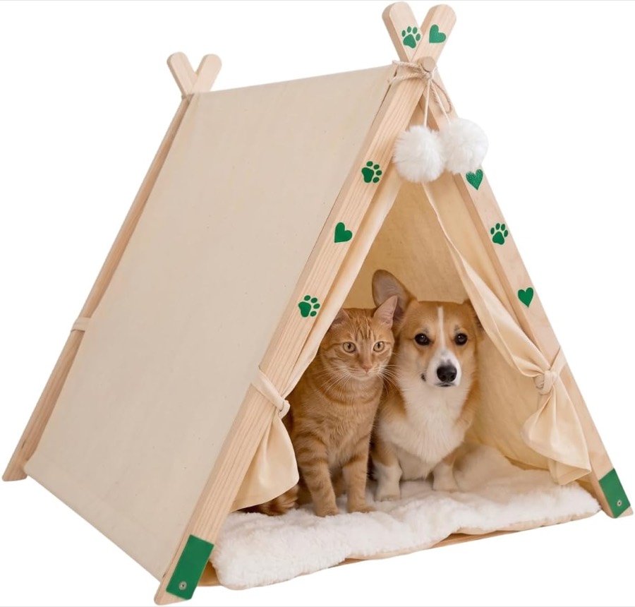 Gato atigrado y corgi sentados sobre el cojín blanco dentro de la cama tipi de postes de pino y lona beige, con dos pompones colgando