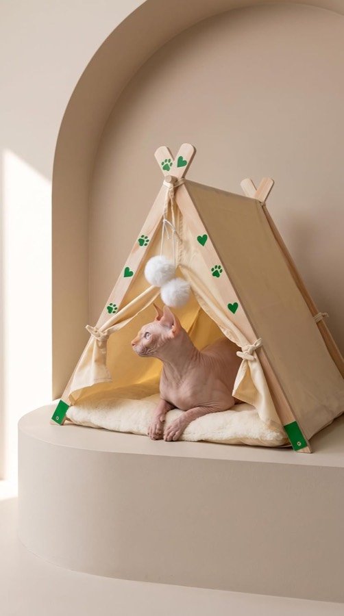 Ver imagen 2 de 6: Gato esfinge tumbado en la cama tipi sobre un pedestal de obra, en una habitación de tonos crema