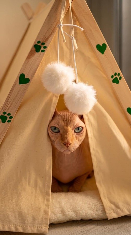 Ver imagen 5 de 6: Gato esfinge asomando entre las cortinas de lona de la cama tipi, con los pompones delante