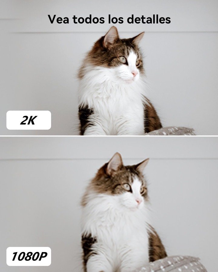 Ver imagen 4 de 6: Comparación de nitidez entre 2K y 1080p sobre la imagen de un gato