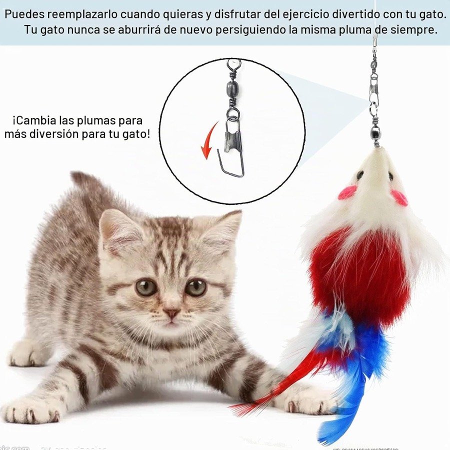 Ver imagen 6 de 6: Gatito atigrado frente a un ratón de plumas rojo y blanco colgado del cierre giratorio