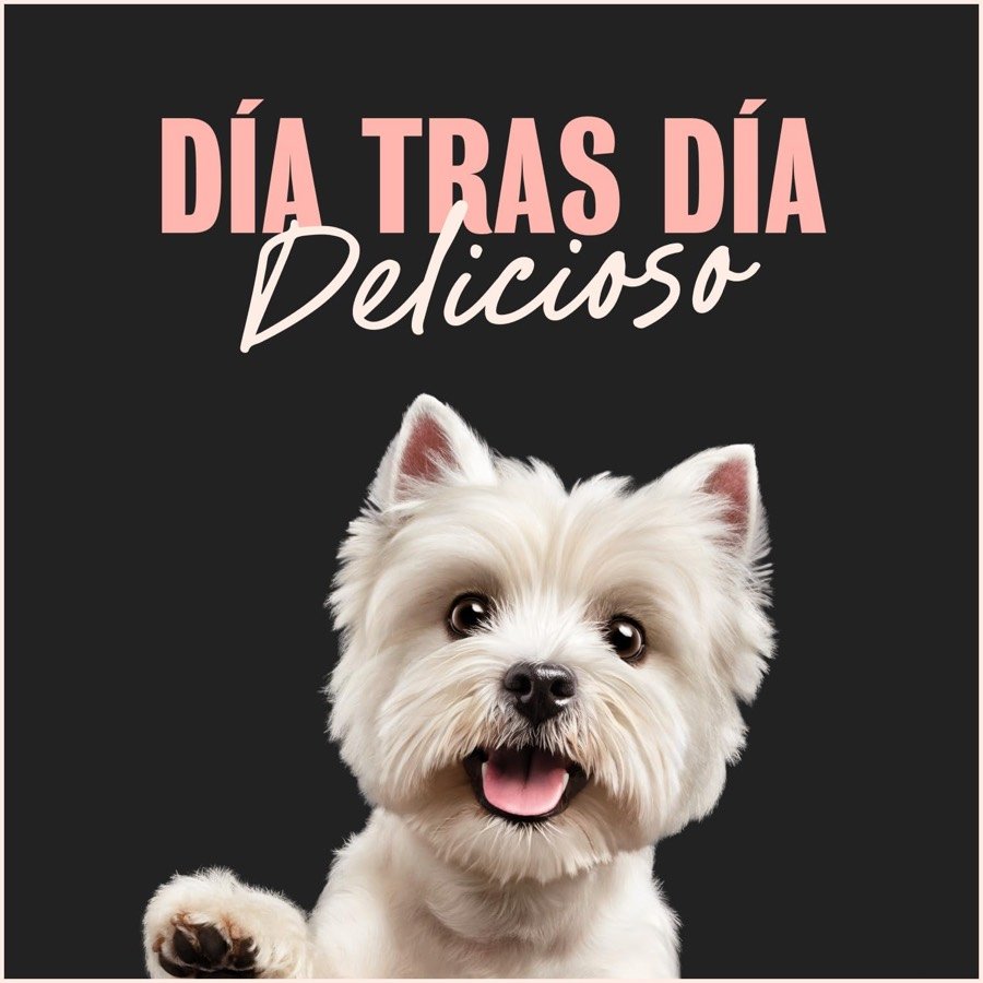 Ver imagen 5 de 6: Imagen de marca de Cesar con un west highland terrier