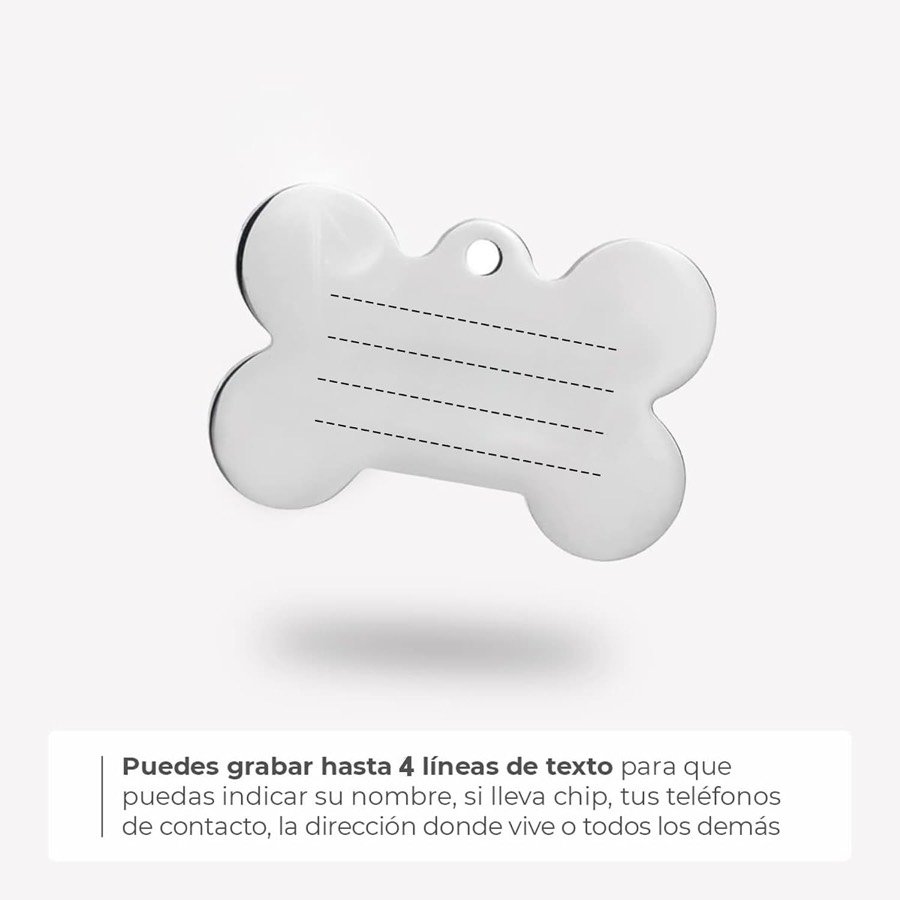 Ver imagen 5 de 6: Chapa de hueso en blanco con cuatro líneas punteadas que muestran dónde se puede grabar el texto