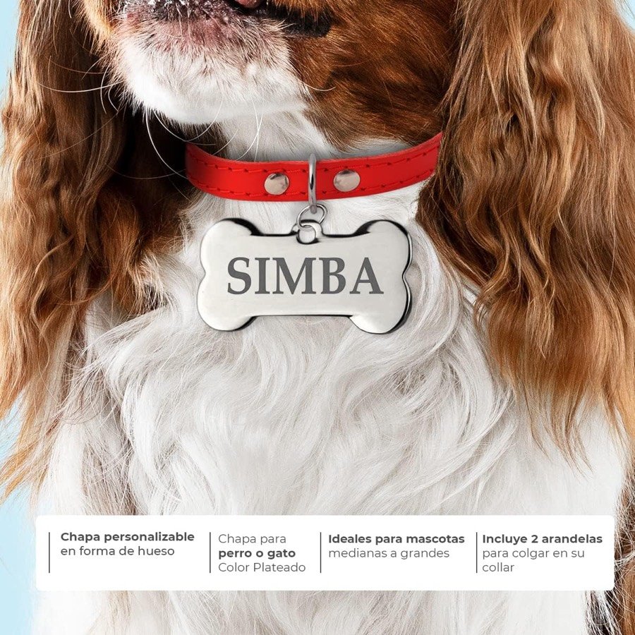Ver imagen 2 de 6: Cavalier king charles con la chapa de hueso colgando de un collar rojo, y los cuatro argumentos de la marca sobre personalización y arandelas