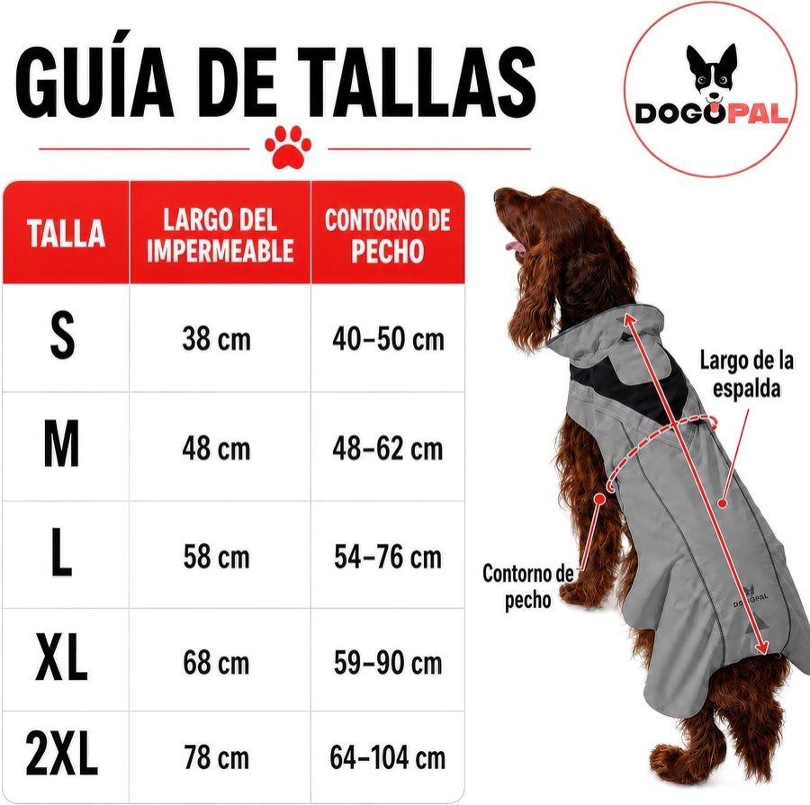 Ver imagen 6 de 6: Guía de tallas del chubasquero DOGOPAL con el largo del impermeable y el contorno de pecho de las tallas S a 2XL, y un perro señalando dónde se mide cada cosa
