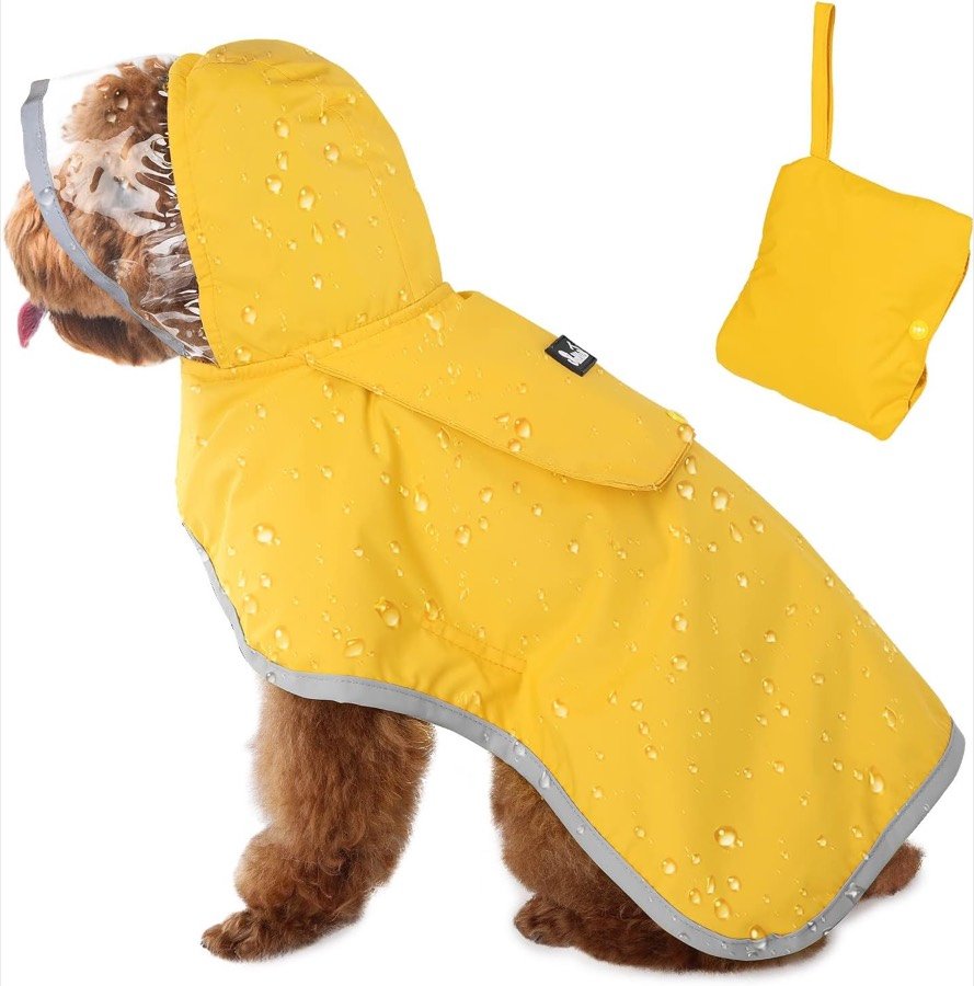 Caniche marrón con el chubasquero SlowTon amarillo y la capucha transparente puesta, junto a la bolsita de guardado