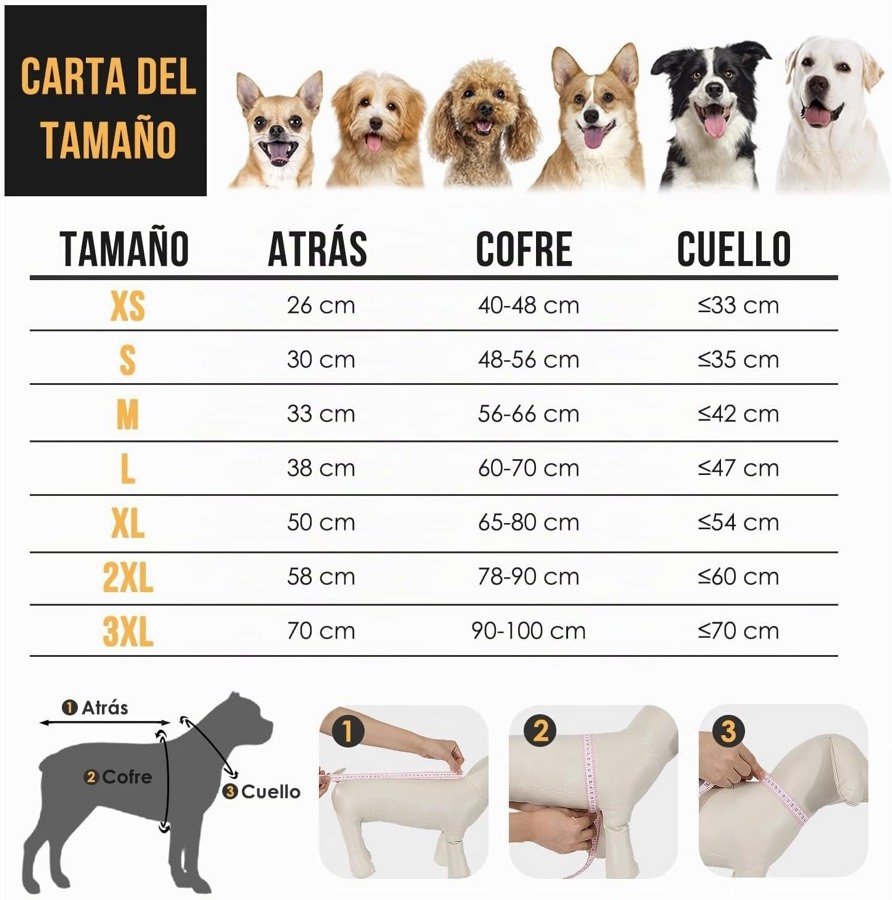 Ver imagen 2 de 6: Carta de tallas del chubasquero SlowTon con el largo de espalda, el contorno de pecho y el de cuello de las tallas XS a 3XL, e ilustración de dónde se mide cada cosa