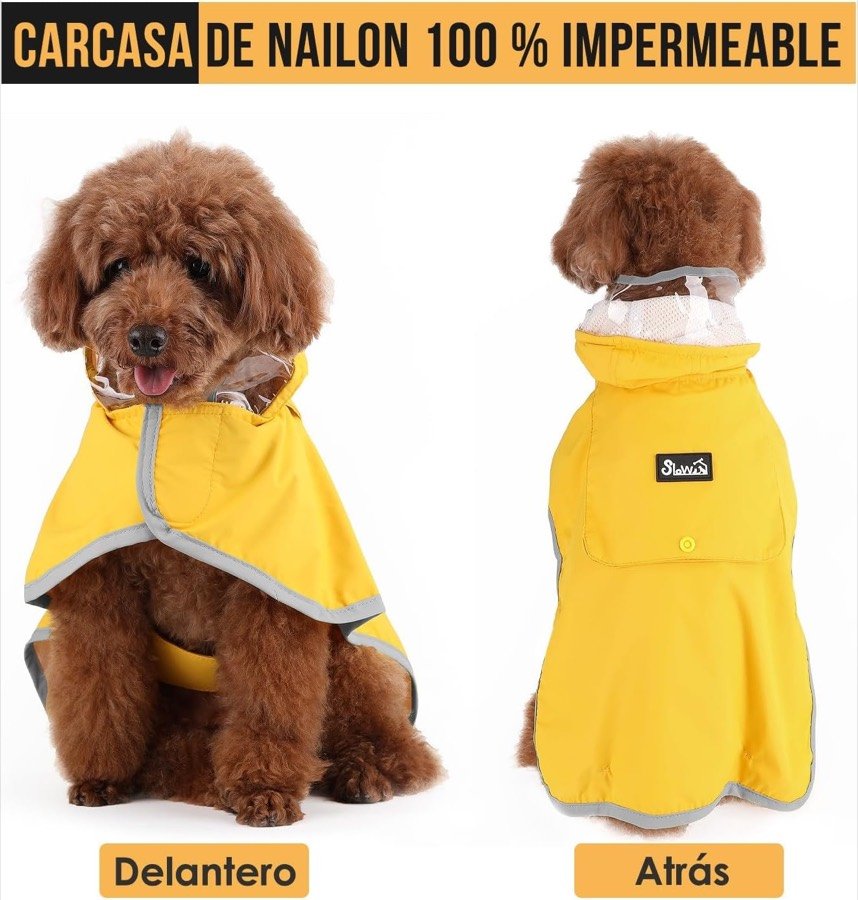 Ver imagen 3 de 6: Vista delantera y trasera del chubasquero SlowTon amarillo puesto sobre un caniche, para mostrar la carcasa de nailon impermeable