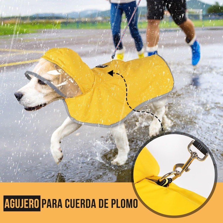 Ver imagen 4 de 6: Golden retriever con el chubasquero SlowTon amarillo bajo la lluvia y detalle del agujero por el que sale la correa