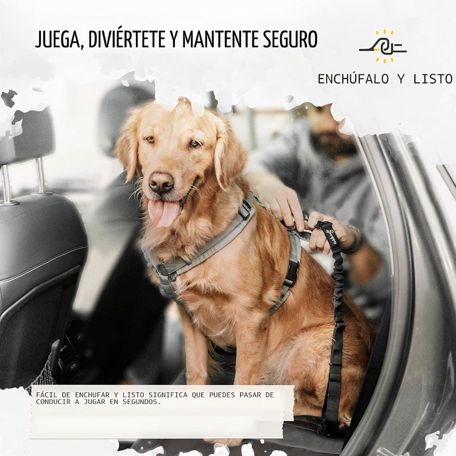 Ver imagen 5 de 5: Perro con arnés gris enganchado al cinturón Rudelkönig mientras alguien lo abrocha en el coche
