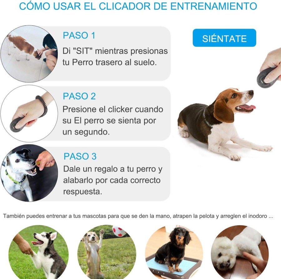 Ver imagen 2 de 6: Infografía en español con los tres pasos para usar el clicker: decir la orden, pulsar cuando el perro obedece y premiar