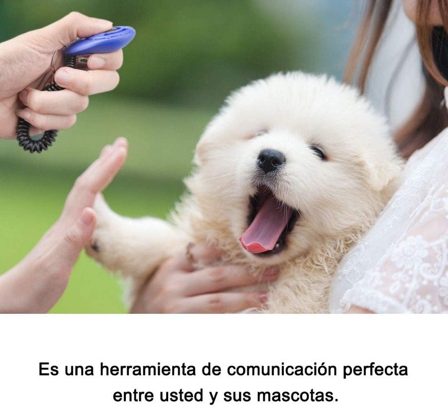 Ver imagen 5 de 6: Mano pulsando un clicker azul mientras un cachorro blanco levanta la pata