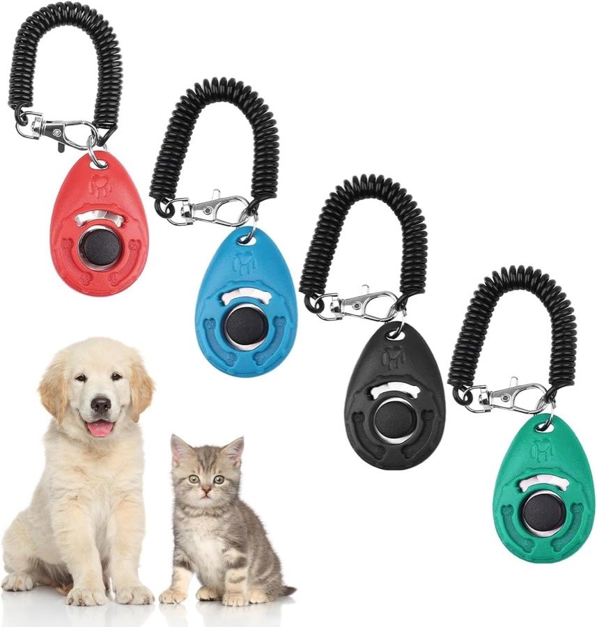 Los cuatro clickers Keratobleem en rojo, azul, negro y verde con sus muñequeras espirales, junto a un cachorro y un gatito