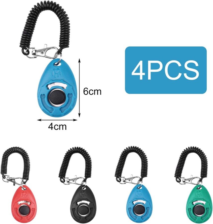 Ver imagen 2 de 6: Esquema de medidas del clicker Keratobleem: 4 cm de ancho por 6 cm de alto, con las cuatro unidades del pack alineadas