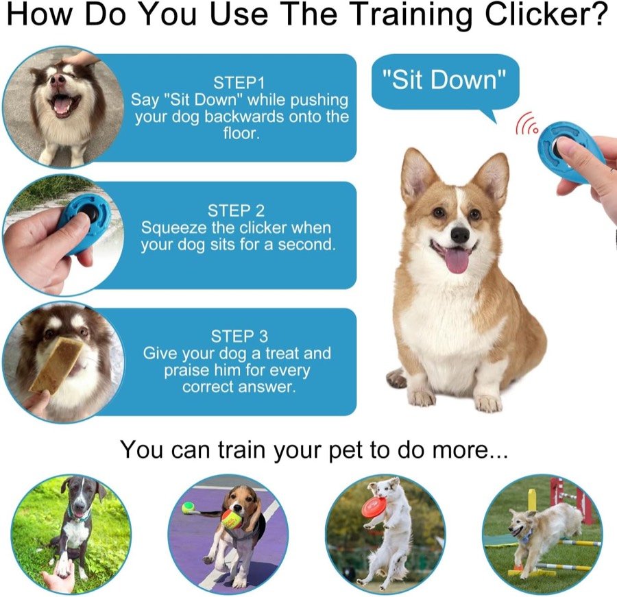 Ver imagen 3 de 6: Infografía en inglés con los tres pasos del método: dar la orden, pulsar el clicker cuando el perro obedece y premiarle
