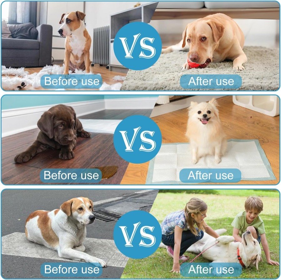 Ver imagen 4 de 6: Tres comparaciones de antes y después del entrenamiento con clicker: perro sobre el sofá, empapador y saltando sobre niños